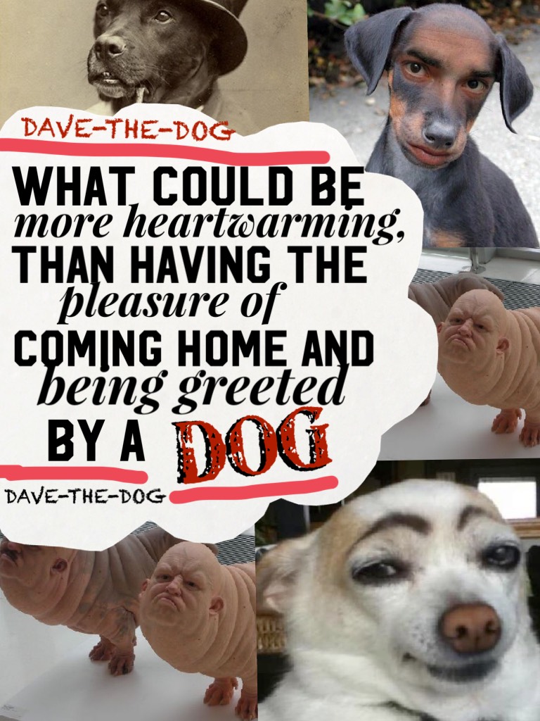 Collage by DAVE-THE-DOG