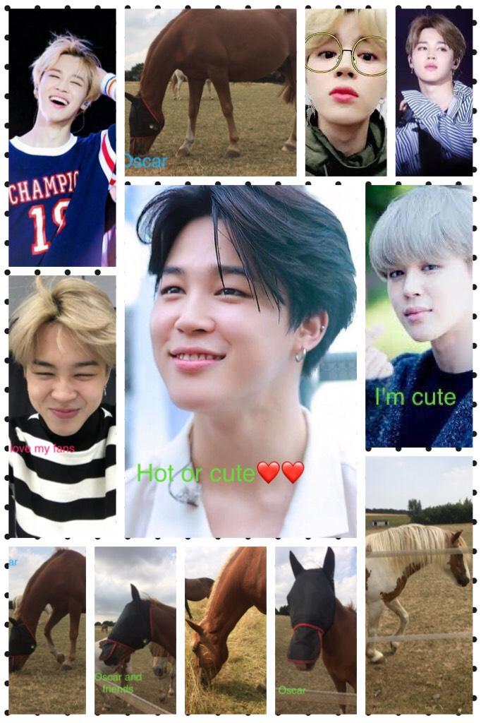 So the guys name is jimin and he’s from a K-pop group called BTS but I love horses as well 