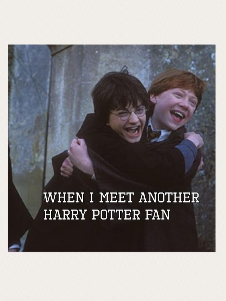 When I meet another Harry Potter fan
