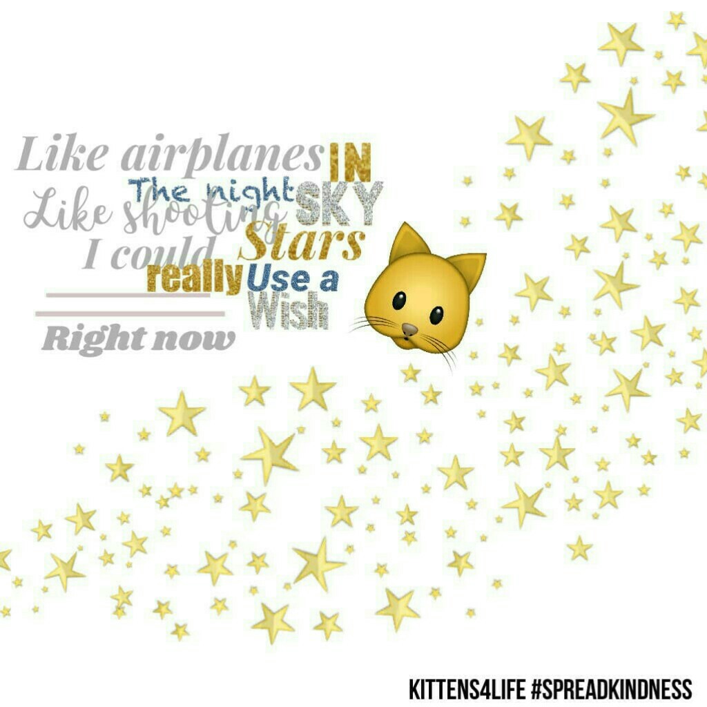 ☀contest entry☀  //TAP// 
___________________________

hey kittens!!!!! 😺😺💙😺😺
😊.we went on a field trip today to the planeterium  it was really cool!!!! you should go to one!!! -kat 😺

QOTD: favorite field trip you've gone on???? 