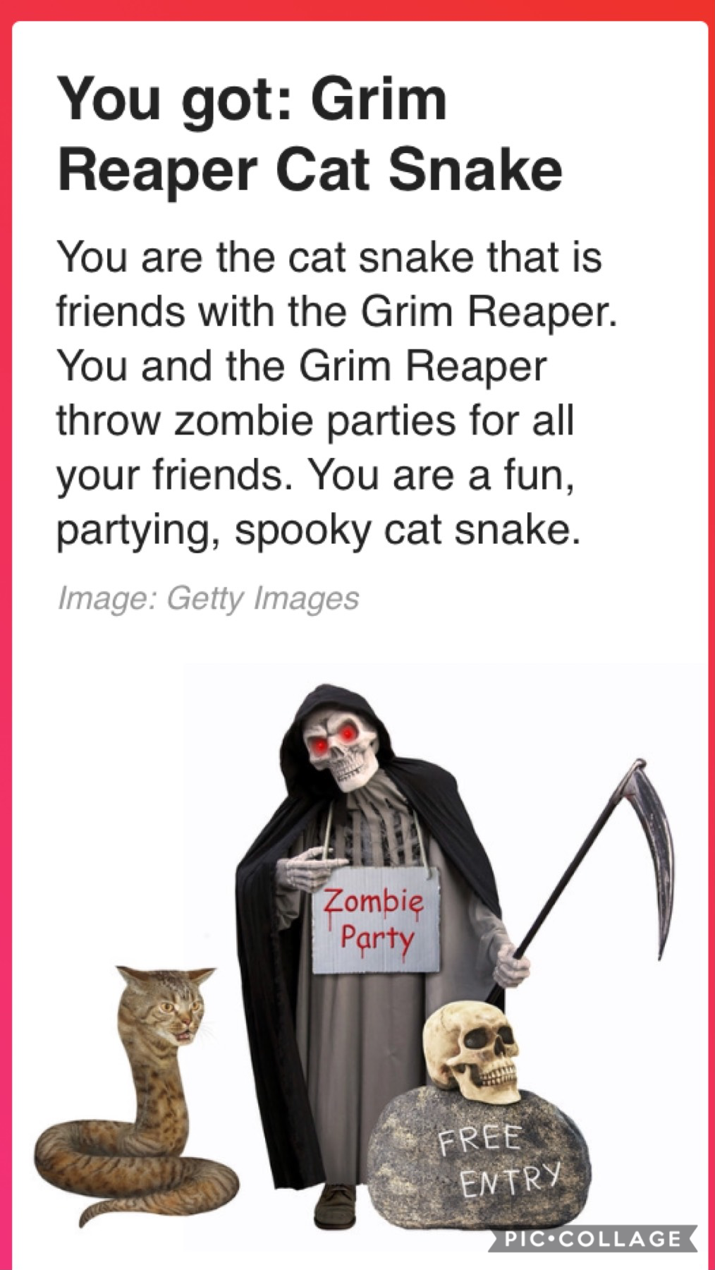 I took a buzzfeed quiz to see what type of cat-snake I am. This was the result.