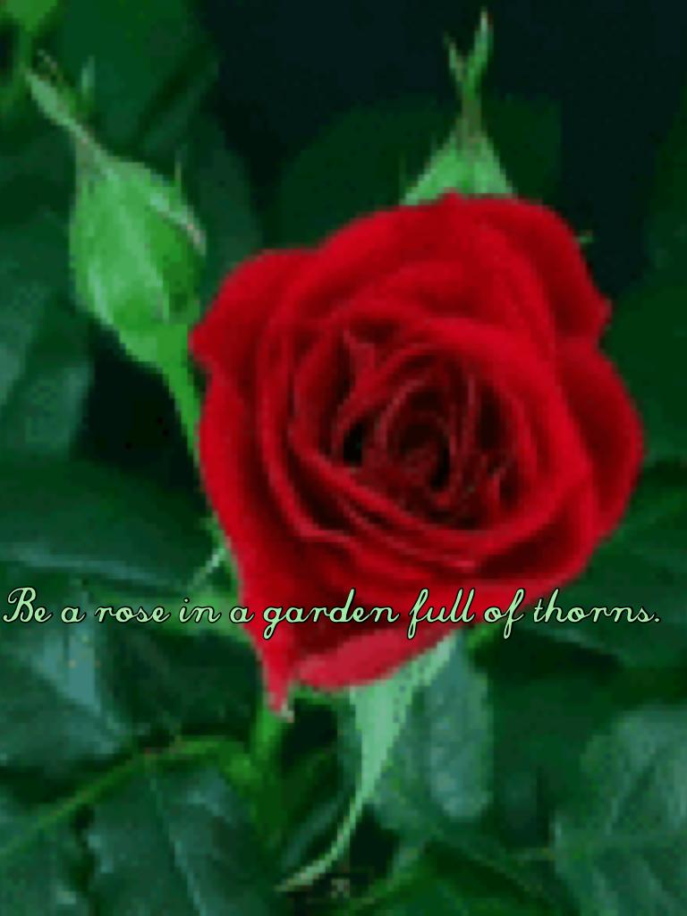 Be a rose in a garden full of thorns.