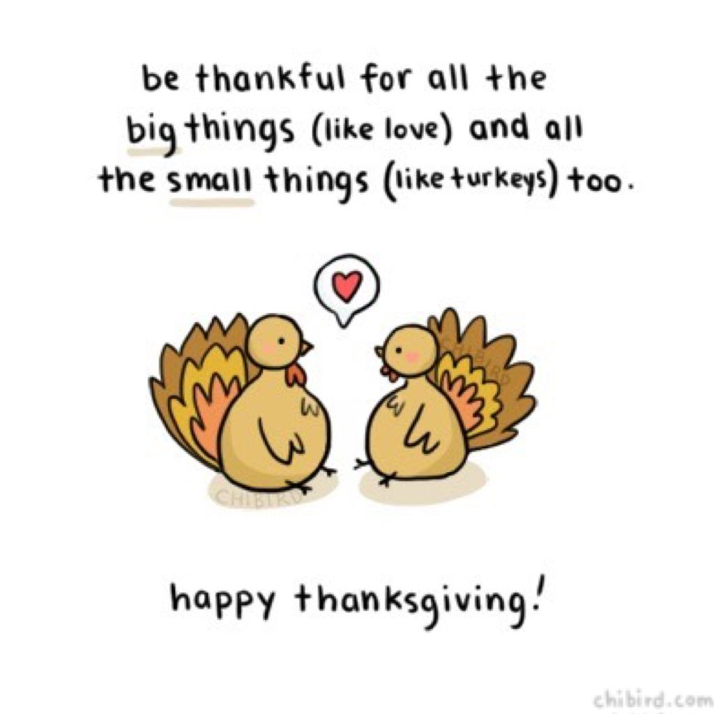 -hi guys, I hope you have/had a terrific thanksgiving & you are/were thankful for everything you own, everything your parents/guardians give you, + the food you are granted with!😚💓🏷