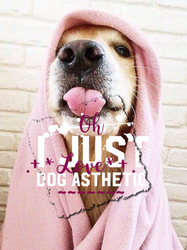 Dog asthestic