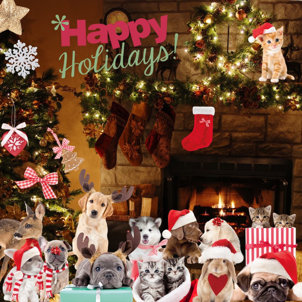 Happy Holidays and Merry Christmas from Studio Pets