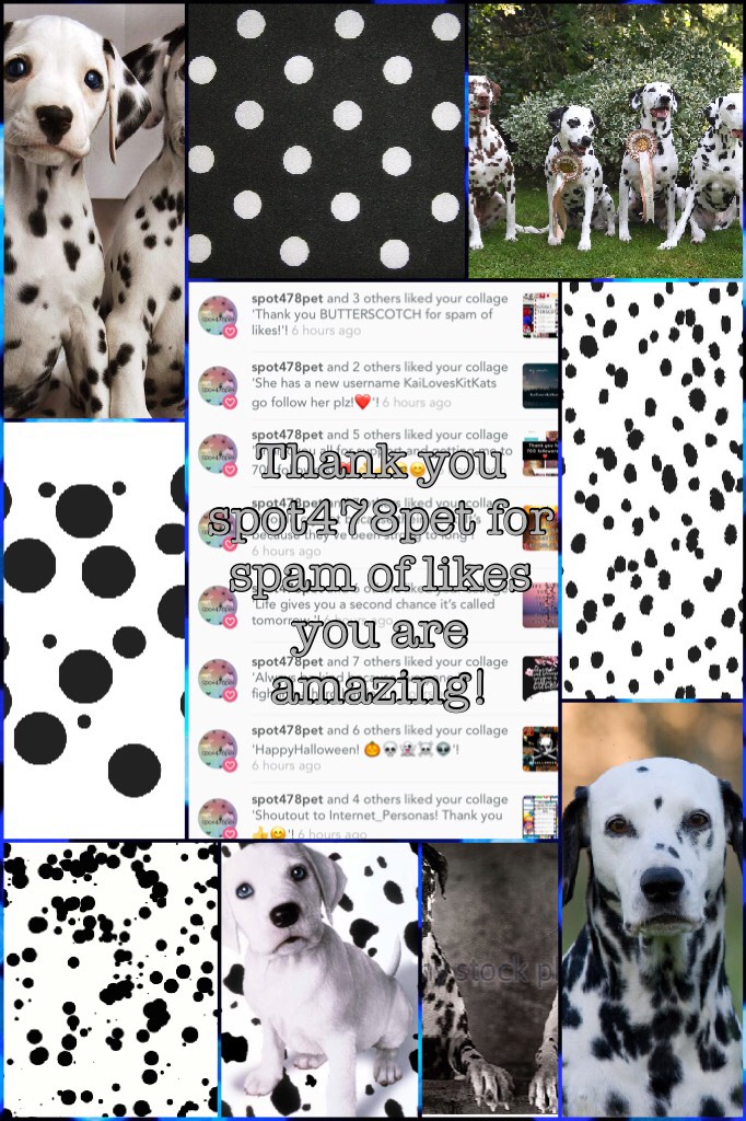 Thank you spot478pet for spam of likes!