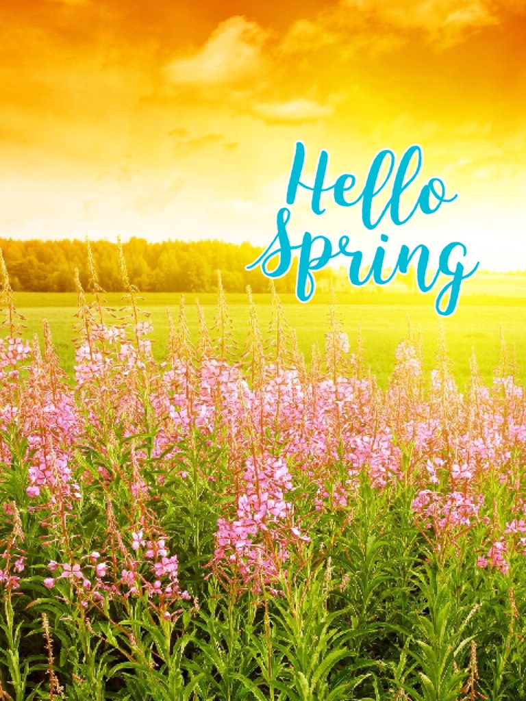 Hello 
Spring