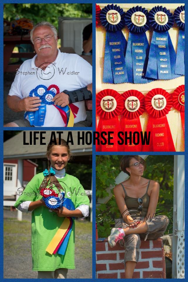 Life at a horse show