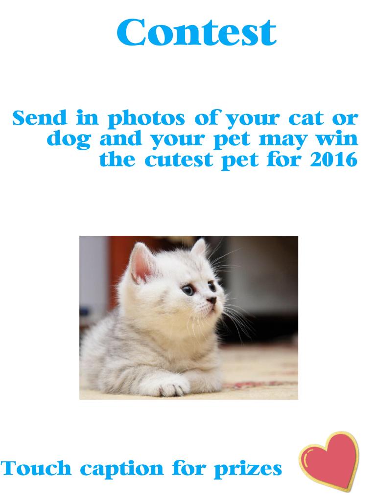 Contest: Cutest Pet 2016! 

             Prizes:
1st: A collage with photo and name, follow and likes on all collages

2nd: like on 5 collages and a follow

3rd: 2 likes