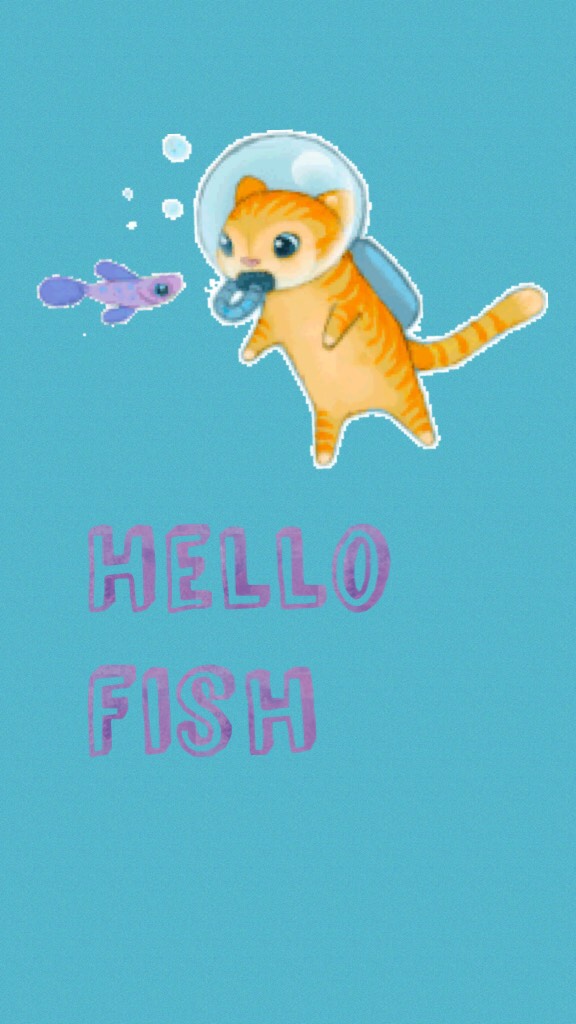 Hello fish 