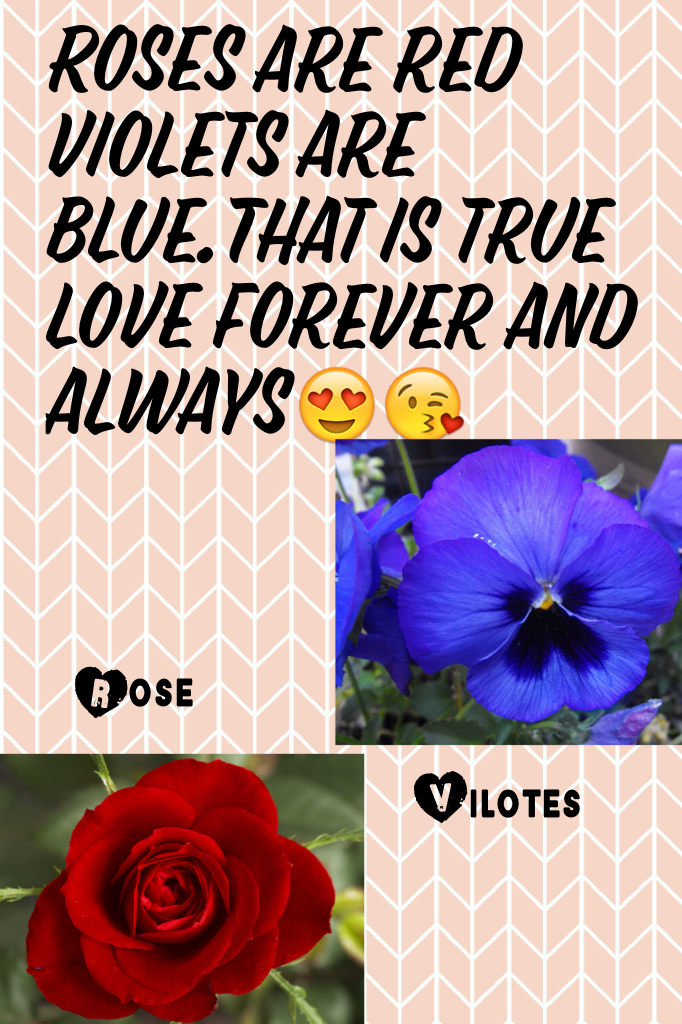 Roses are red violets are blue.That is true love forever and always😍😘