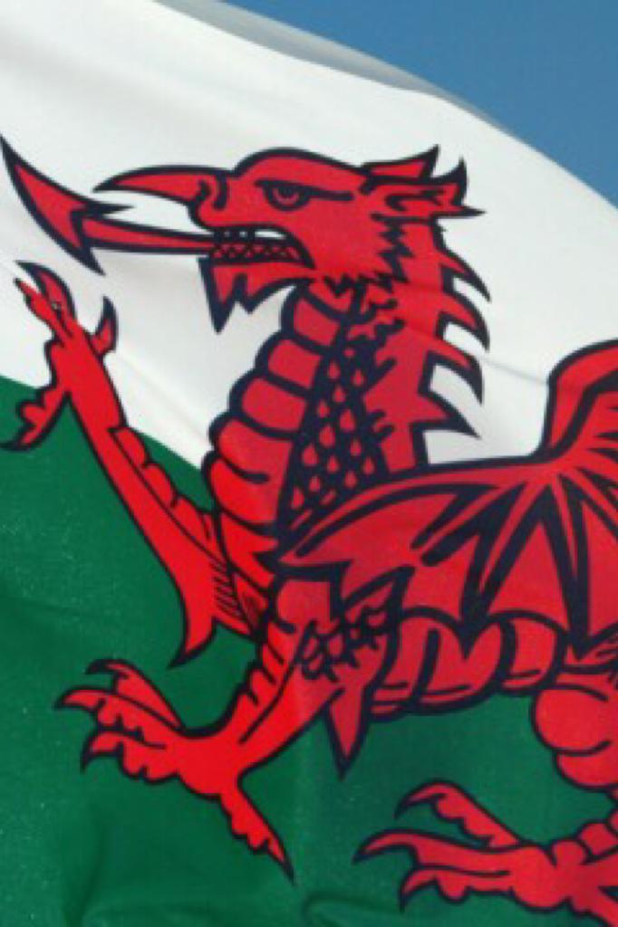 I AM PROUD TO BE PURE WELSH!!!!!!!!!!!!!!!!!!!!!!!!!!!!!🙅🏼❤️❤️