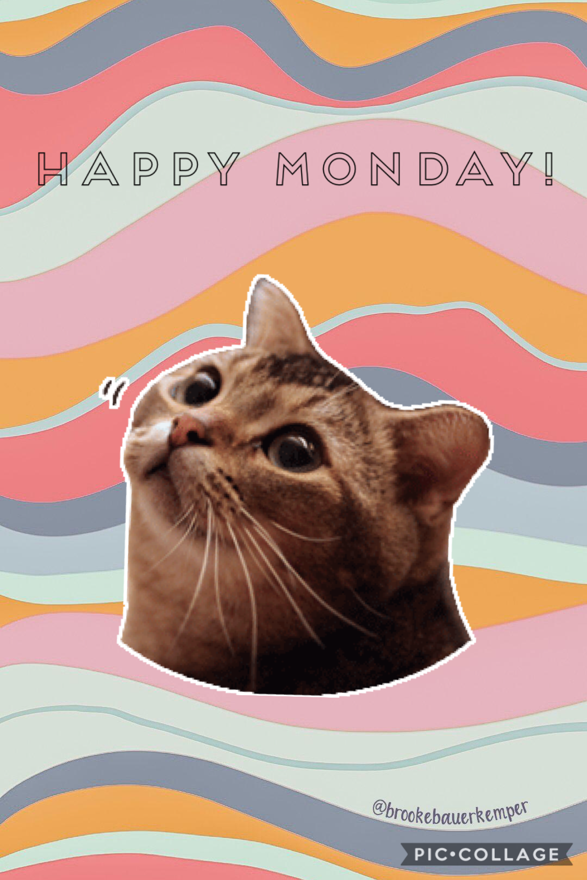Happy Monday everybody!