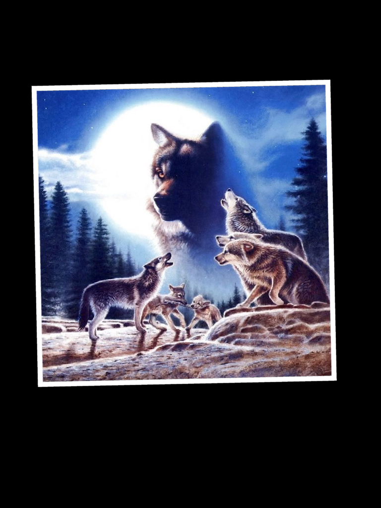 Wolves 👍✌️😎🤗