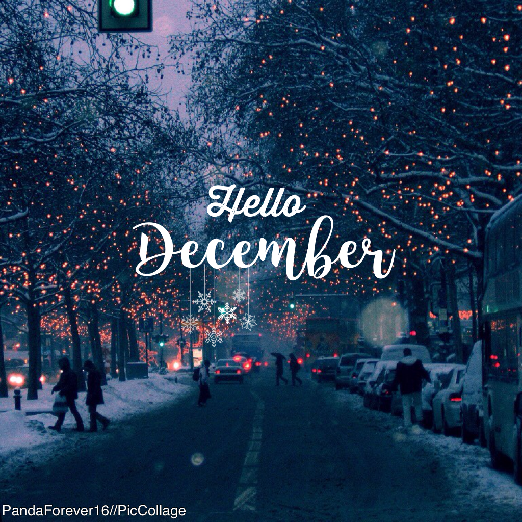 Can't wait until Christmas🎄☃️