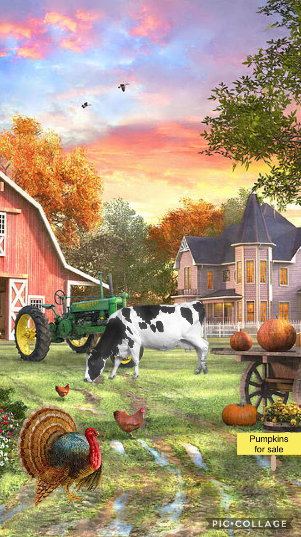 A fall day on the farm