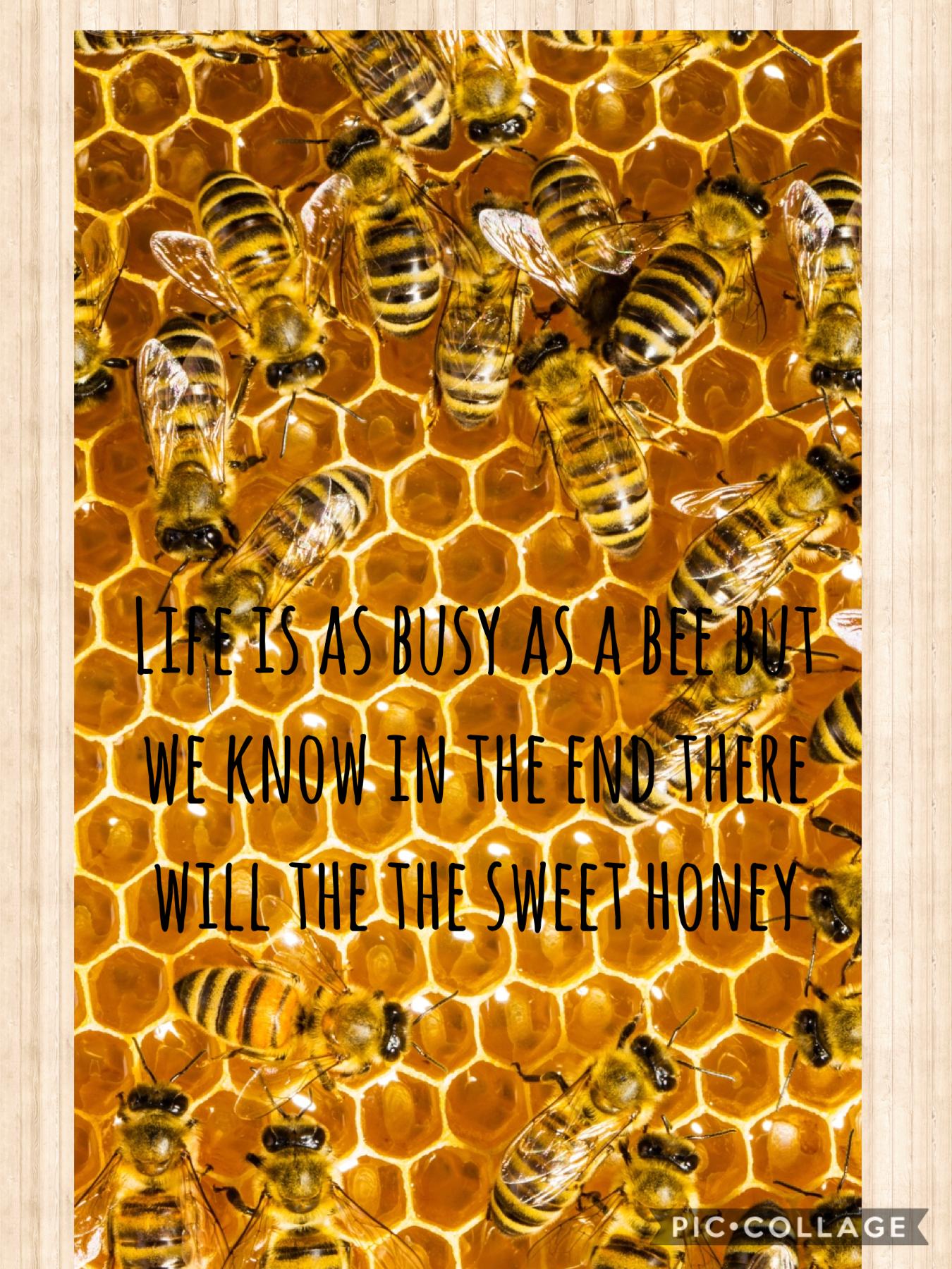 Stay positive we could all use some honey. 
