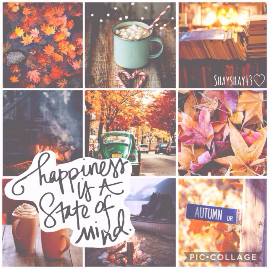 HAPPY DECEMBER 1ST BABES!!🎅🏼🎄✨ today is the first day of #PCMas!! Sorry I'm really behind on my edits lol but this is the last fall edit for the season!☺️💓☀️ Qotd: What's your favourite holiday??❄️