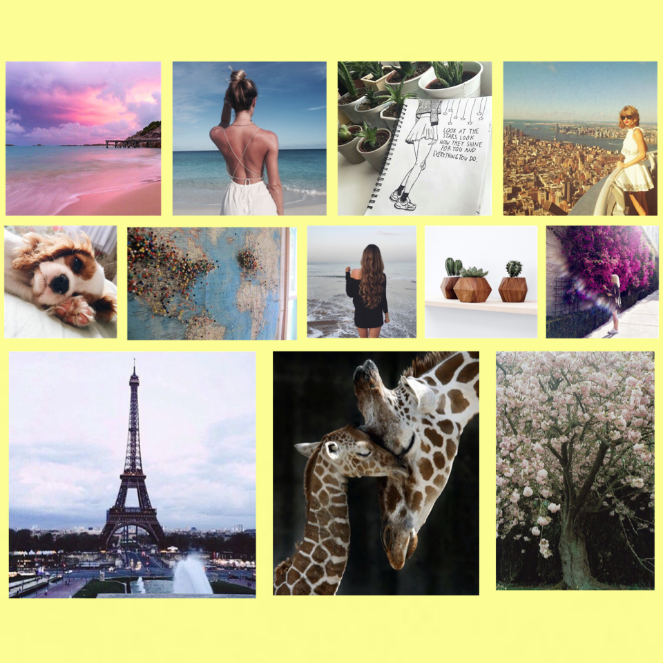 WeHeartIt photographs/images ❤️💛