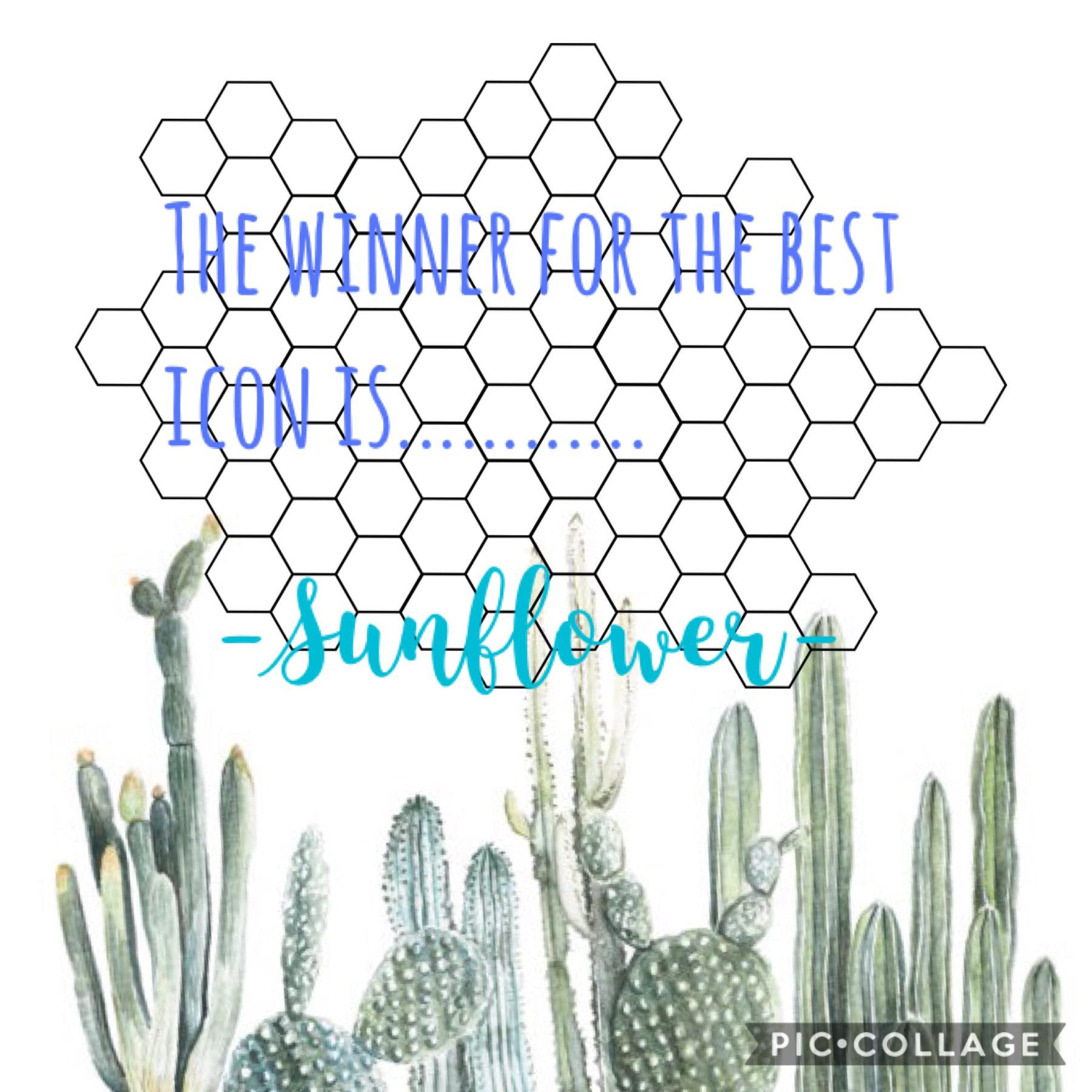 The winner for the best icon is -Sunflower-
#winner #-Sunflower- #cactus #hexagon #blue