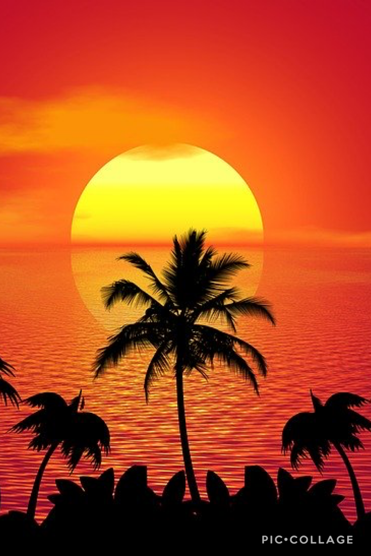 2020 tropical background 