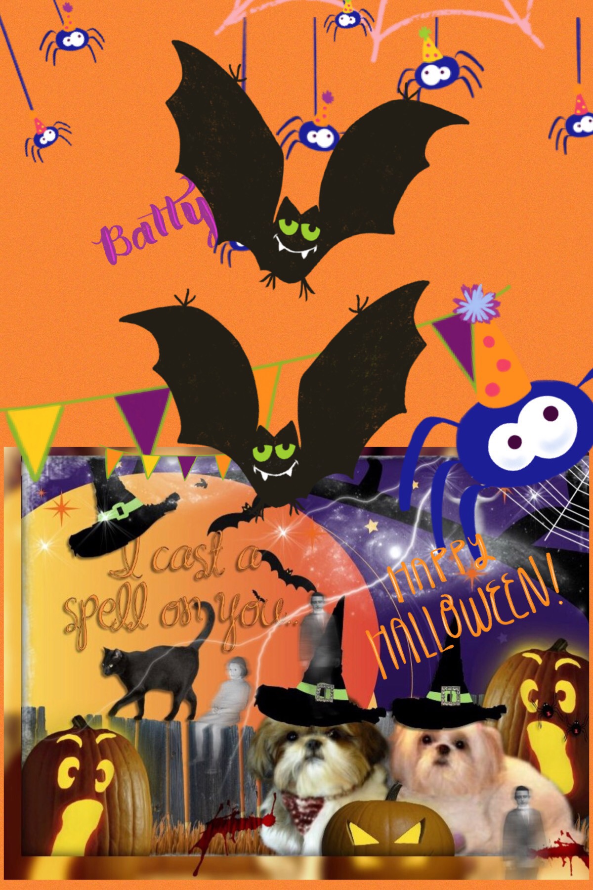 Happy Batty Halloween!