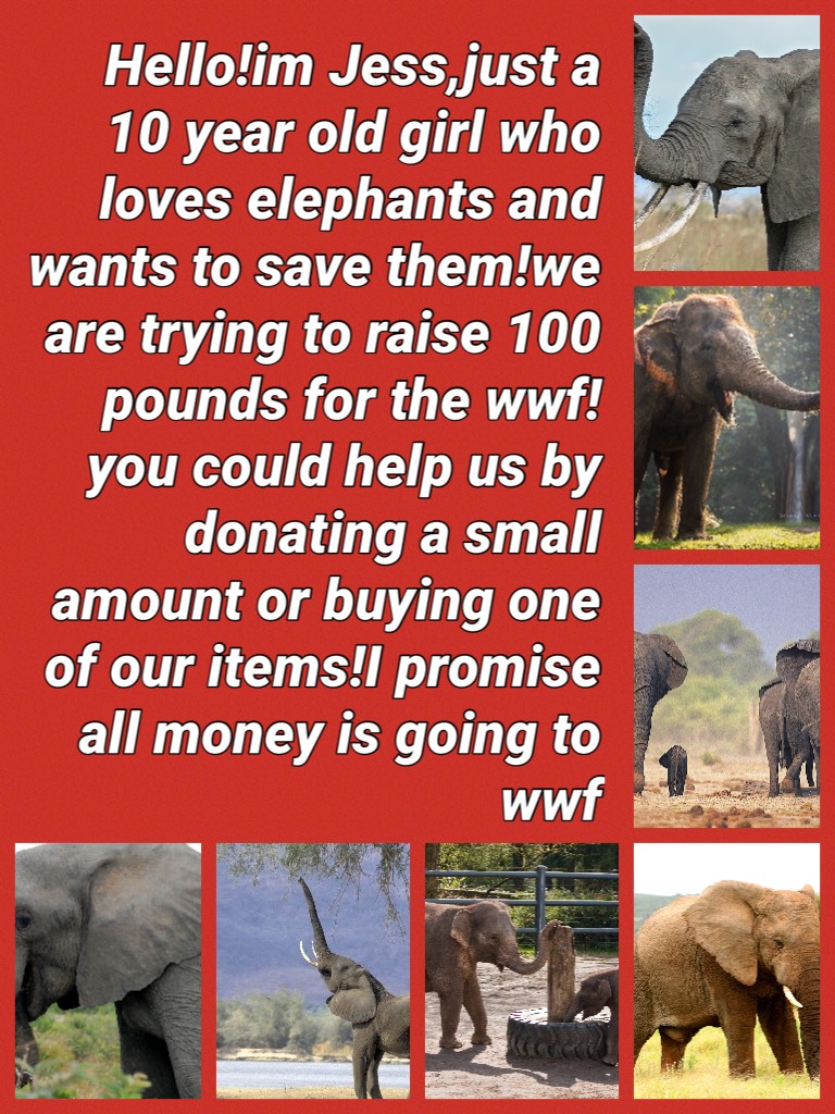 Hello!im Jess,just a 10 year old girl who loves elephants and wants to save them!we are trying to raise 100 pounds for the wwf!you could help us by donating a small amount or buying one of our items!I promise all money is going to wwf
