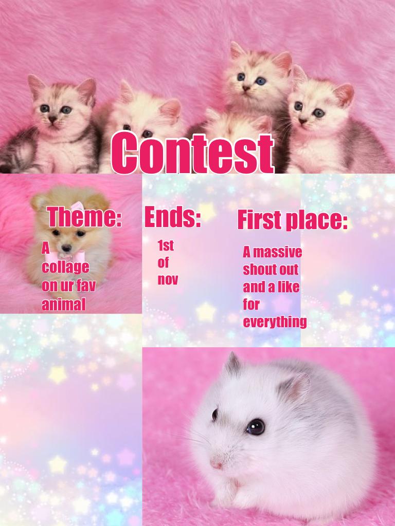 Contest 😃