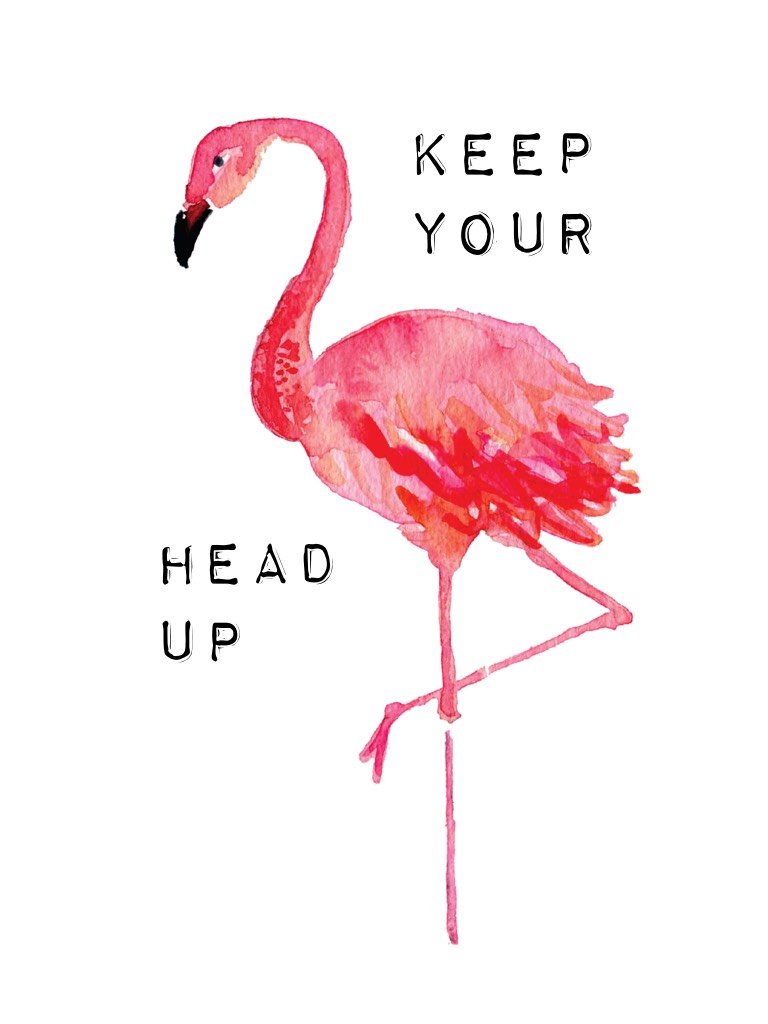 Keep your head up high!!