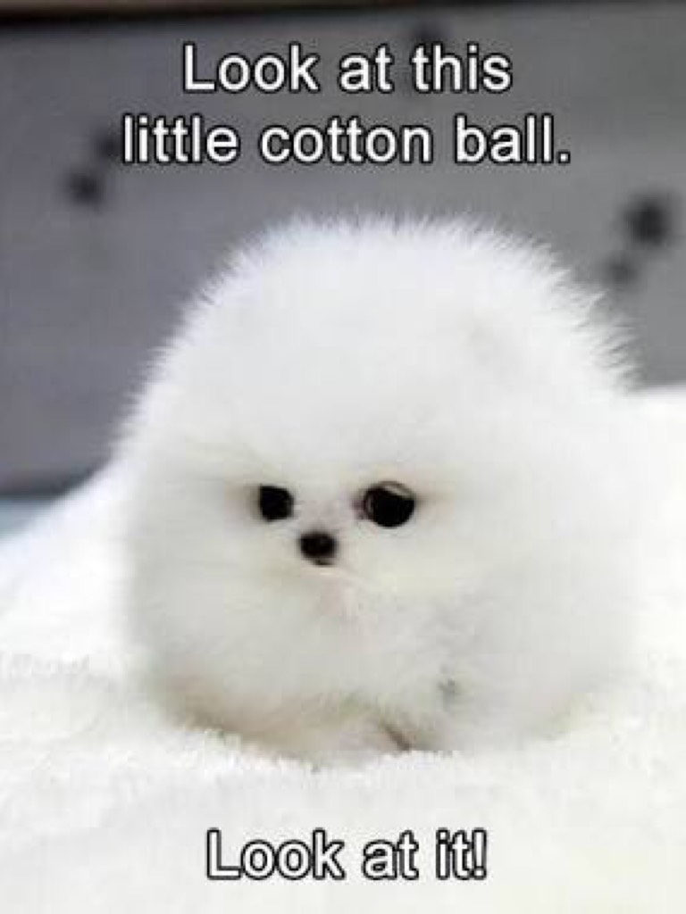 Cotton ball