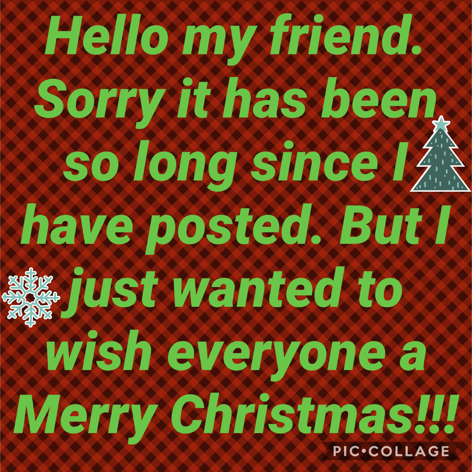 Merry Christmas!!! So sorry for not posting in a while.