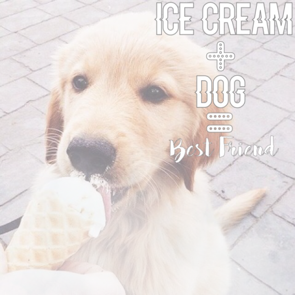 Ice cream + Dog = Best Friend