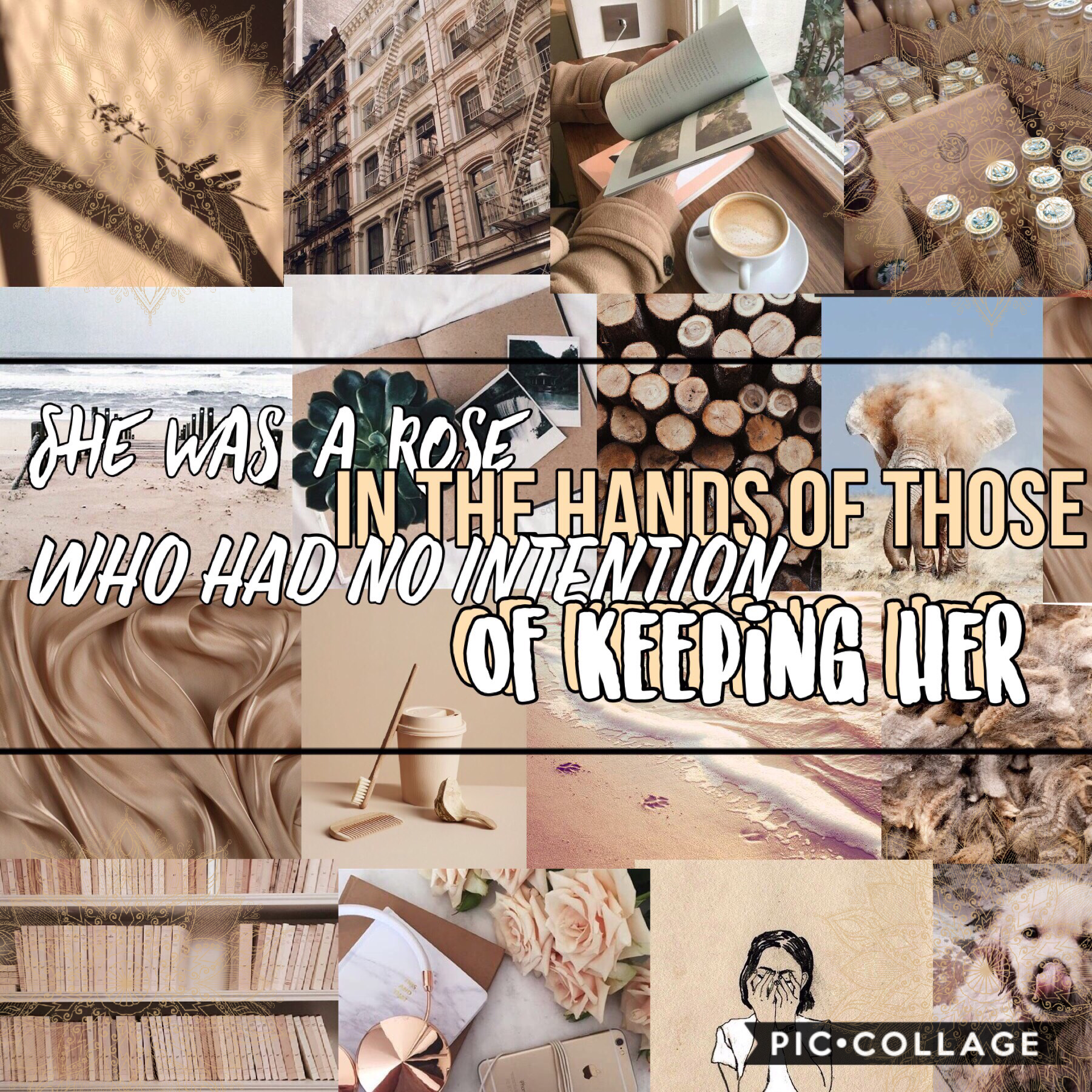 hey guys! x I’m new here, and this is my first post! I’m hoping that i like piccollage and become apart of this community!❤️ xx