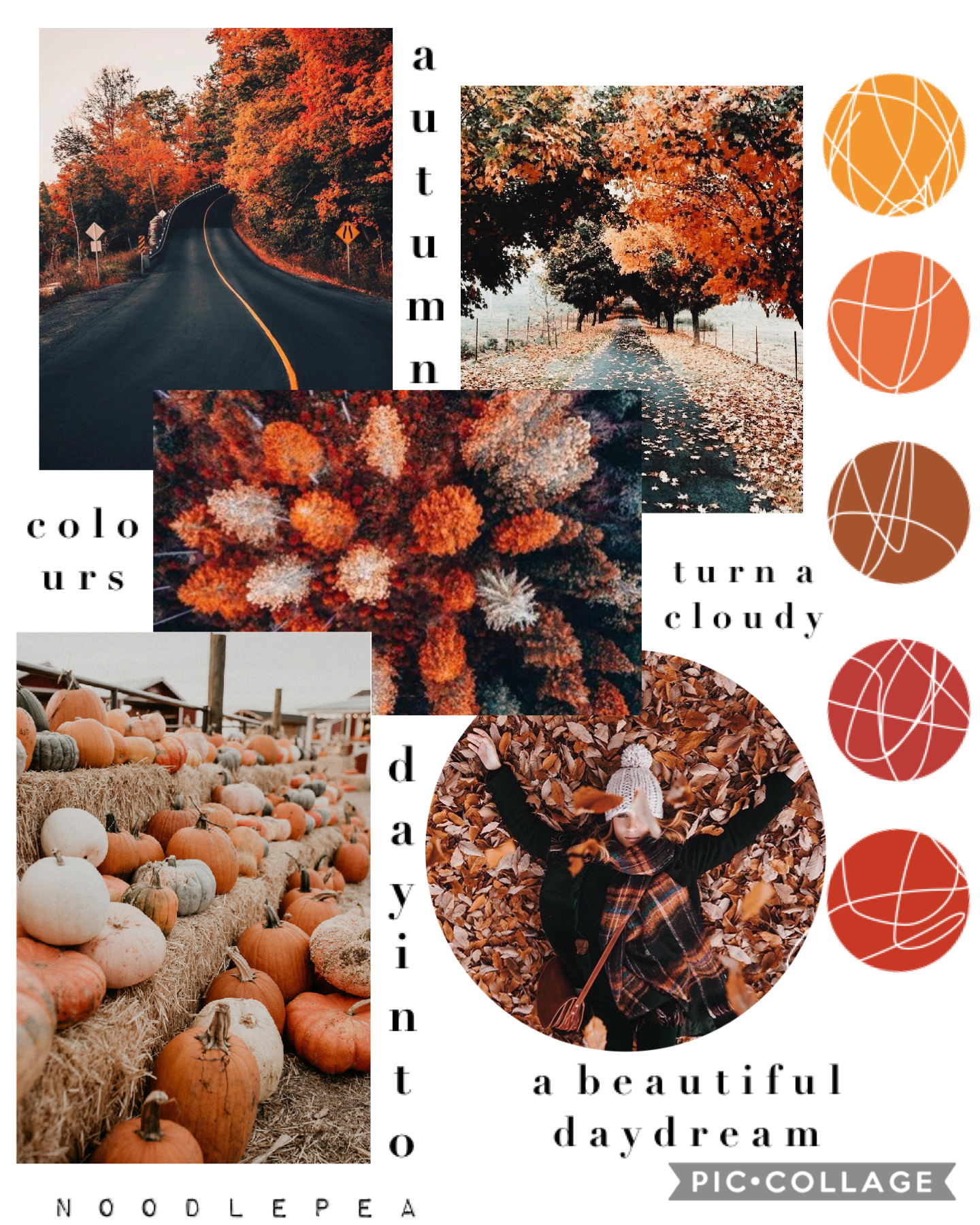 🍁t a p🍁

S u p  k i d d o s ! !
 what do you think I made this a while ago but I decided to wait to post it. There is another collage that I made but I haven’t posted, it’s not my normal style so I’m still deciding if I like it or not 🥑❤️✌️