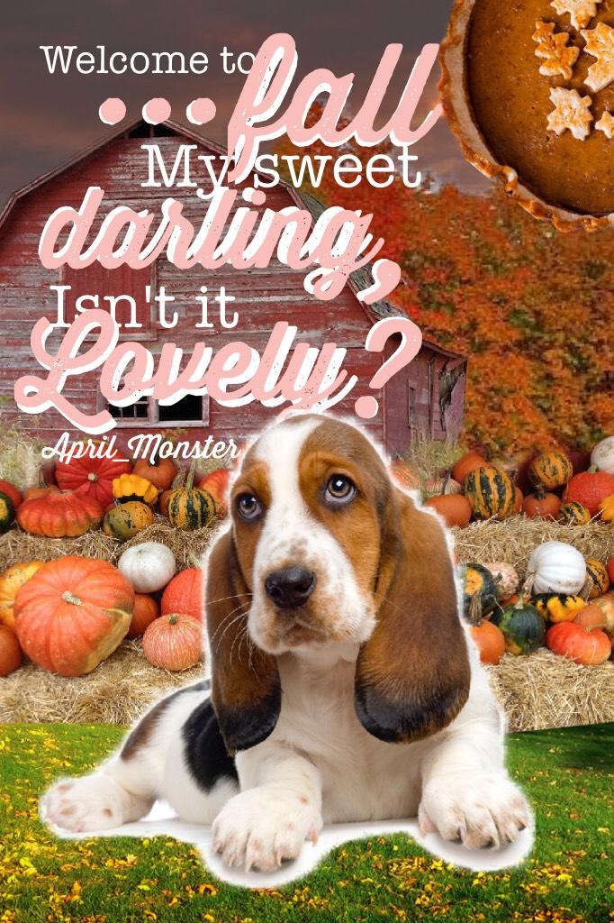 Welcome Fall! 
QOTC- what is your favorite part of fall?
Tags: pconly, Pic Collage, dogs, fall, pumpkins, pie, fall colors! 