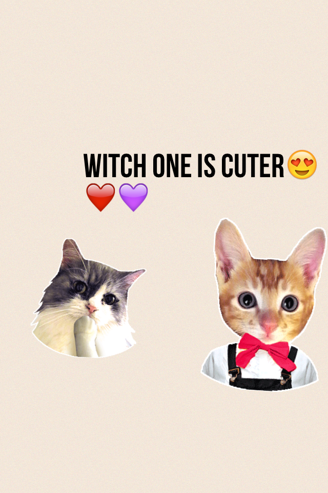 Witch one is cuter😍❤️💜