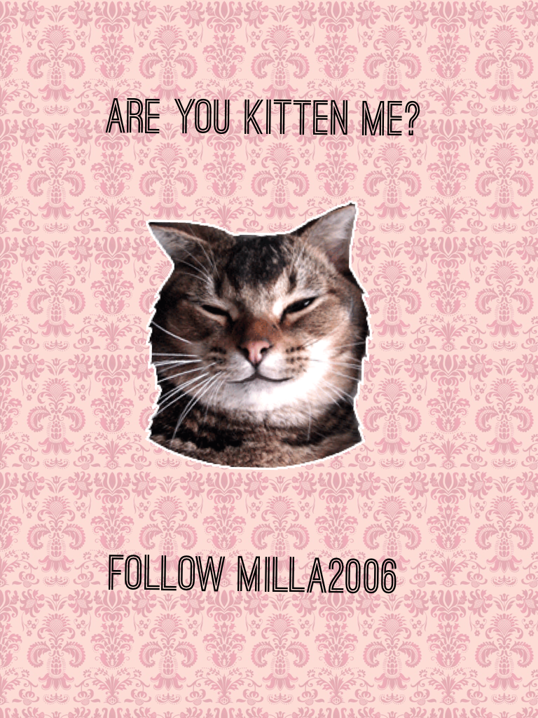Follow milla2006