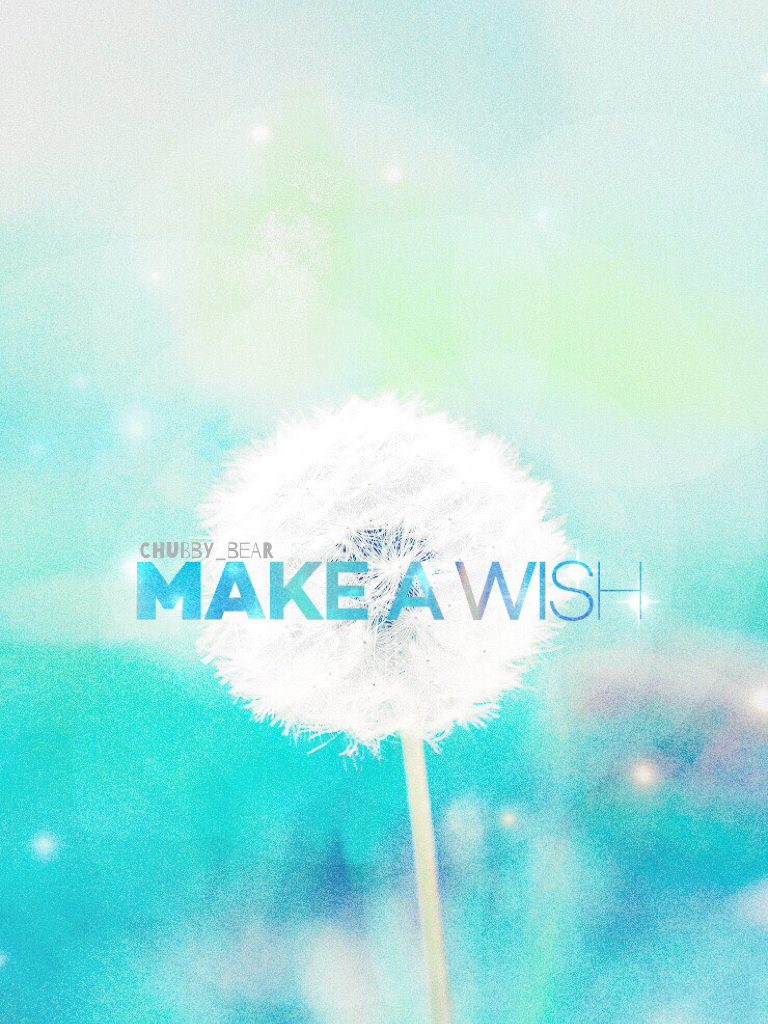 🦄Make a wish for the New Year🦄 - Happy 2016 guys Thank you so much for all your support 🍾TO A NEW YEAR🍾