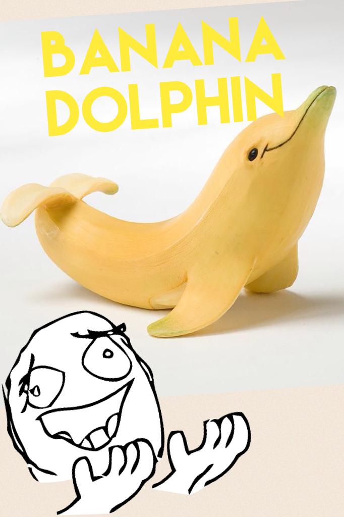 Banana Dolphin 
