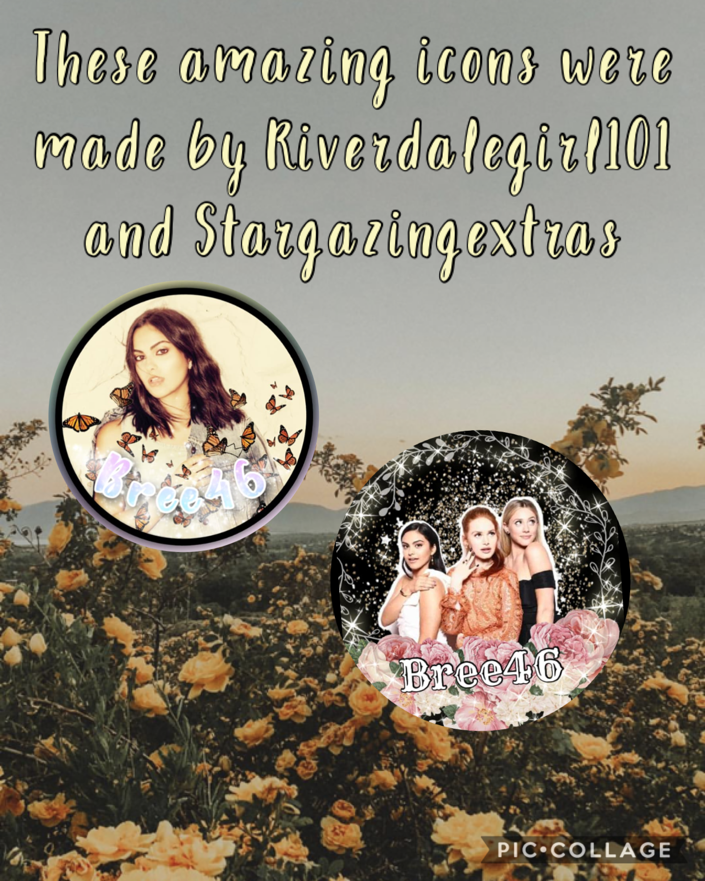 These amazing icons were made by the amazing Riverdalegirl101 and stargazingextras
