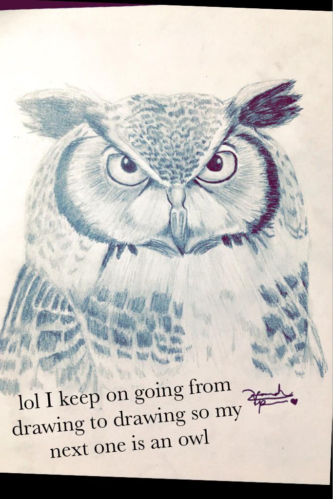 lol I keep on going from drawing to drawing so my next one is an owl