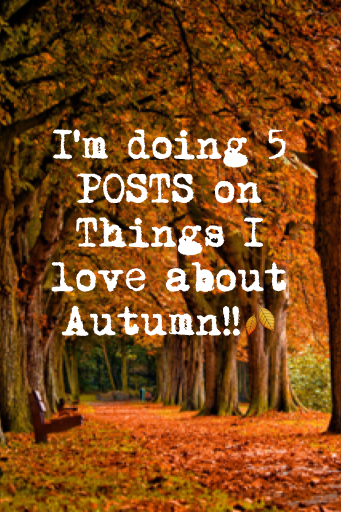 I'm doing 5 POSTS on Things I love about Autumn!!🍂