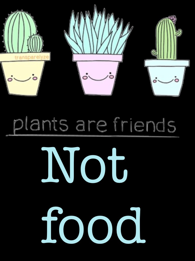 Not food