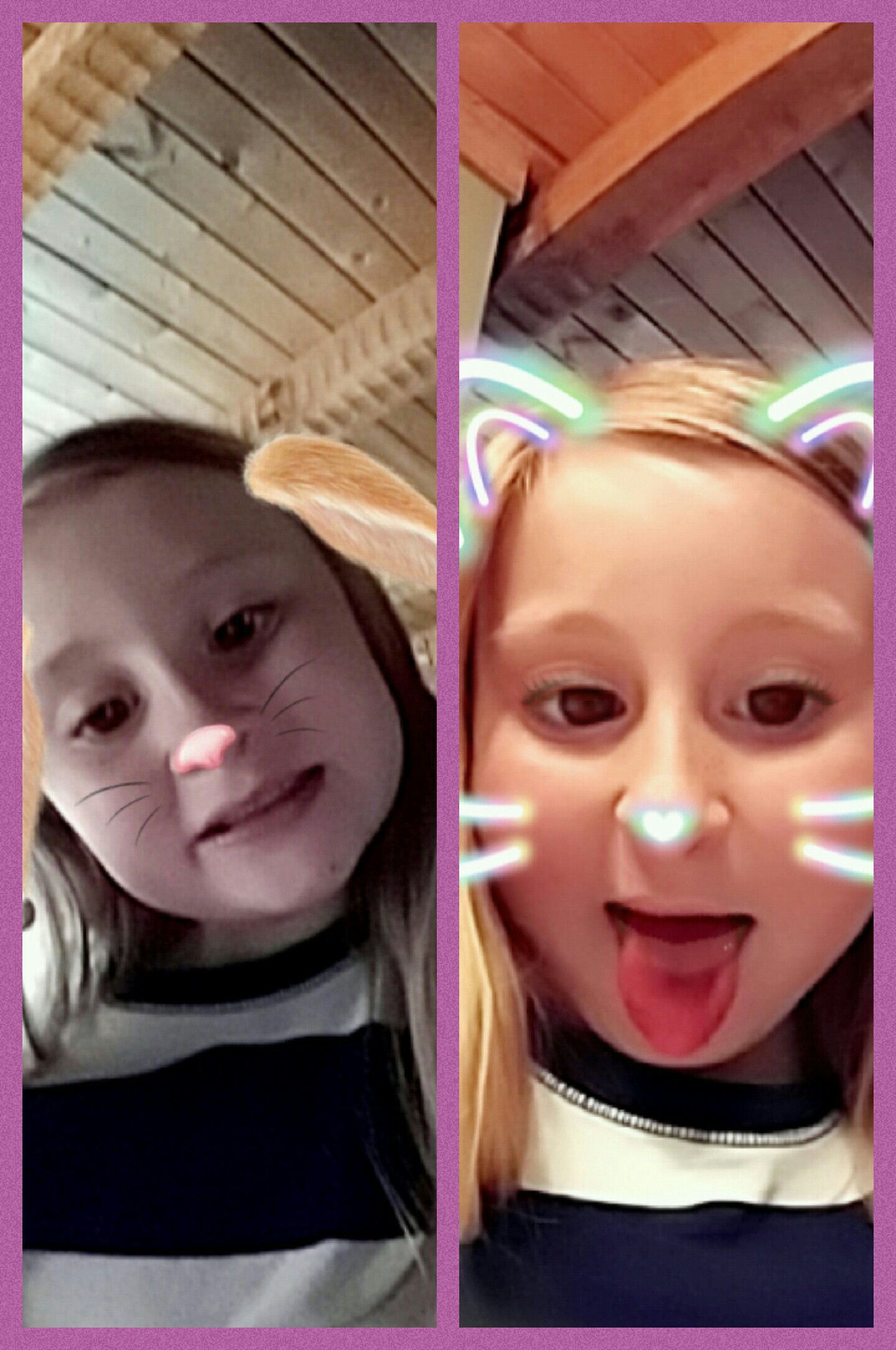that is me cute 🐇 and a 🐱