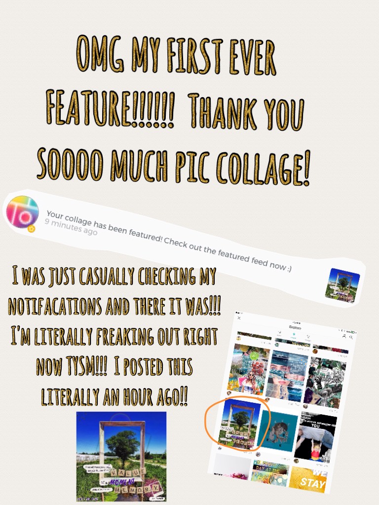 Thank you all so, so much!  Make sure to check out the feature feed!