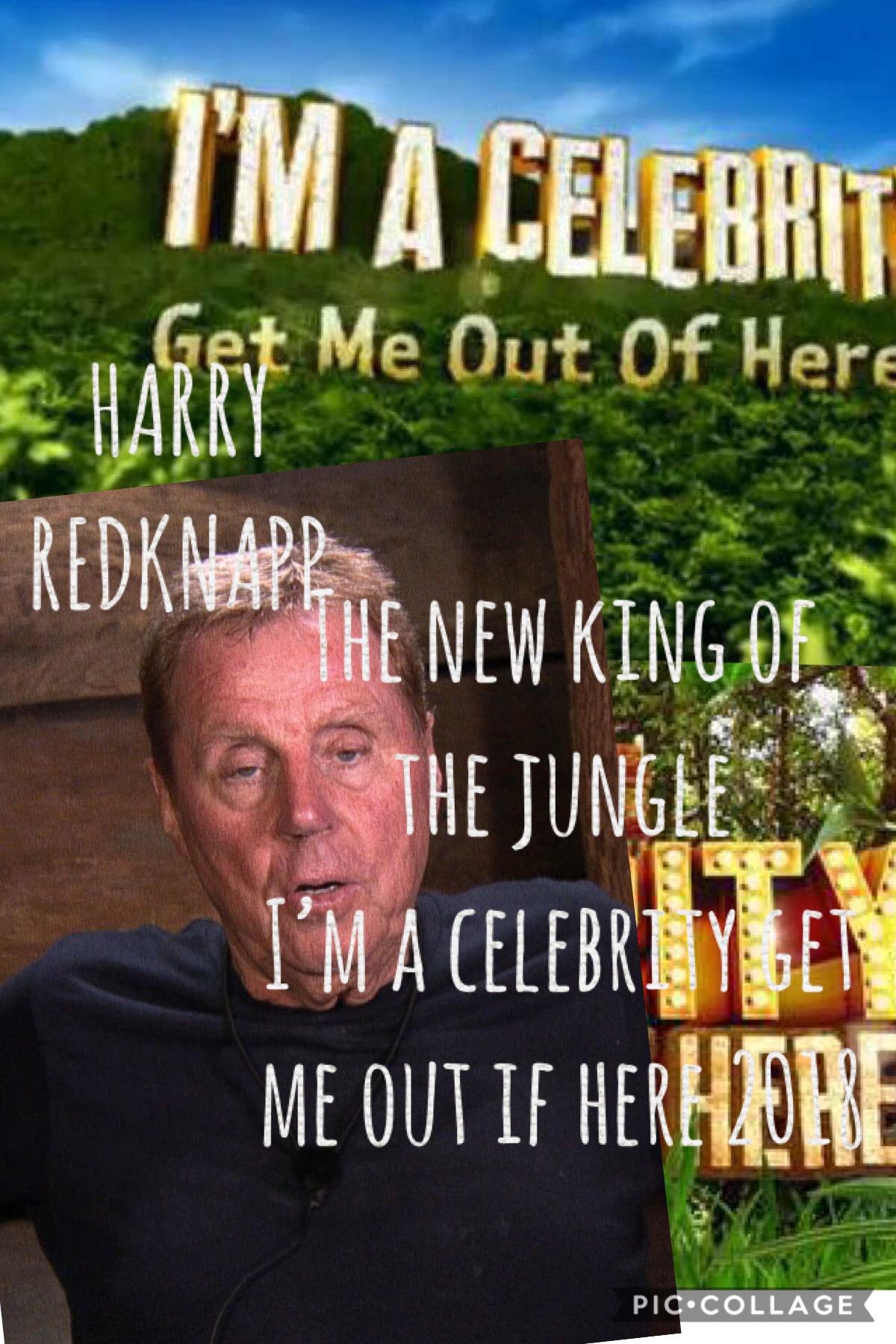 Harry Redknapp is the winner of this years “I’m a celebrity get me out of here” 2018