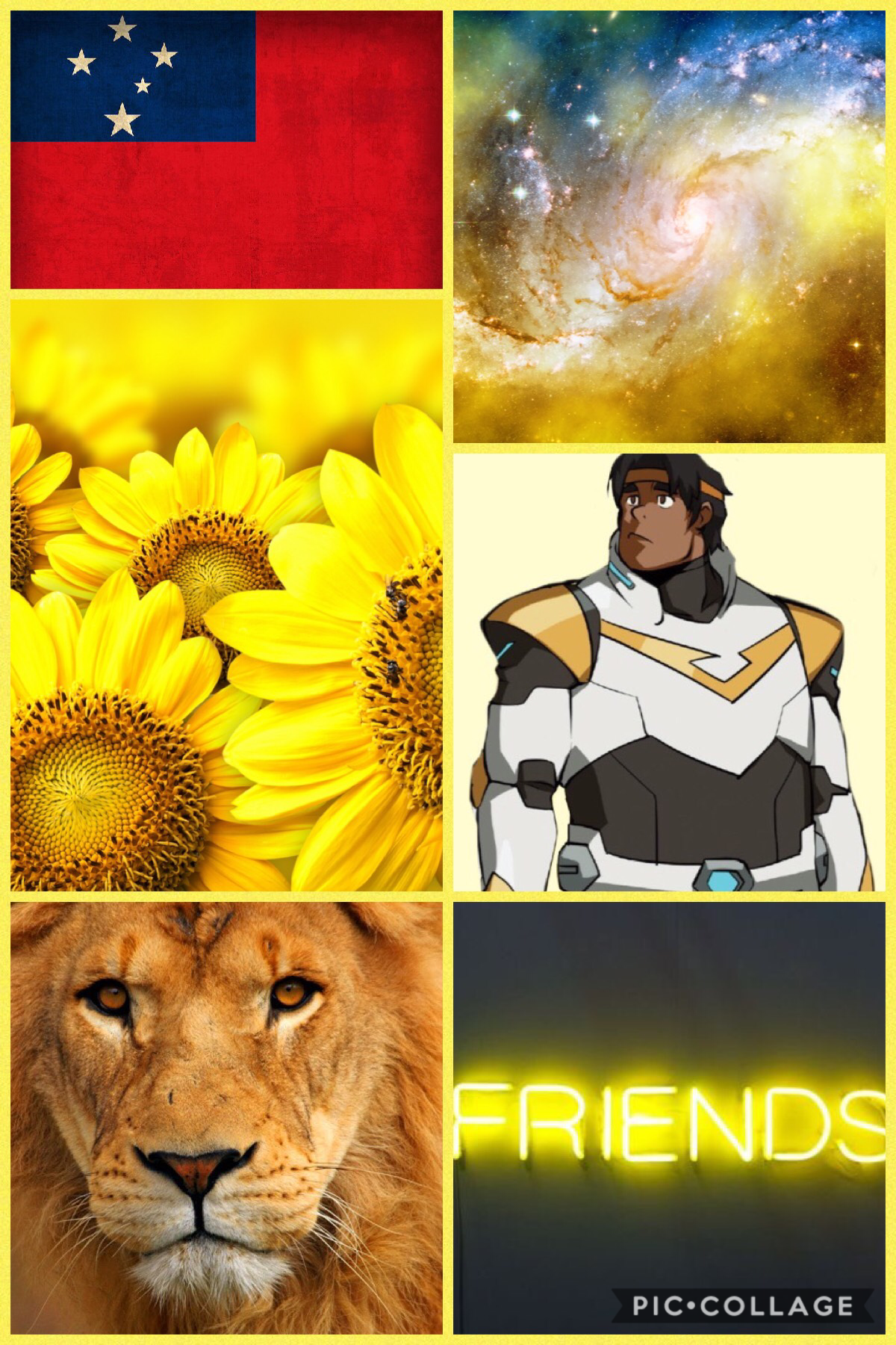 Hunk Garret, Paladin of the Yellow Lion 