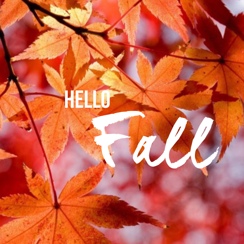 Fall!! My favorite season