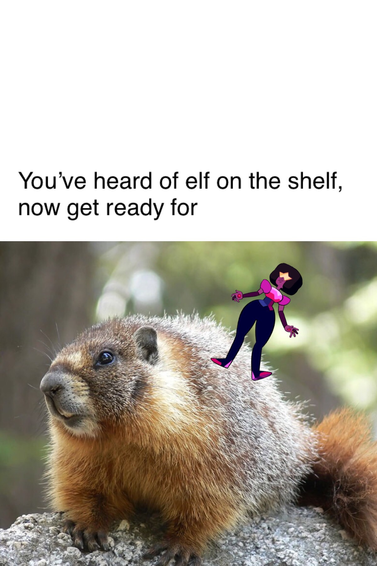 Garnet on the marmot