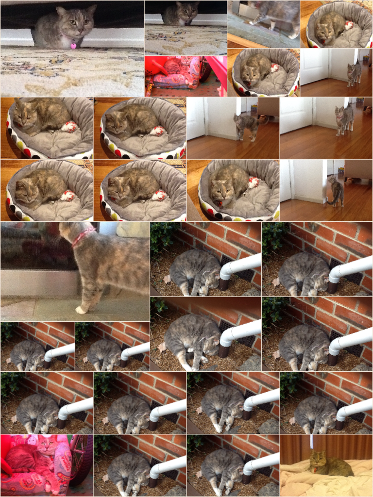 First 30 photos I ever took of my cat😀😀😀😀😀😀😀😀😀😀😄